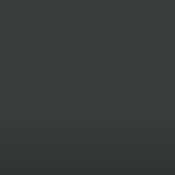 gris anthracite